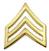 Hero's Pride SGT Chevrons, Enameled & Plated, 2 Posts & Clutch Backs, Pairs, Pointy-3/4" Wide