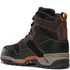 Danner Field Ranger Boot
